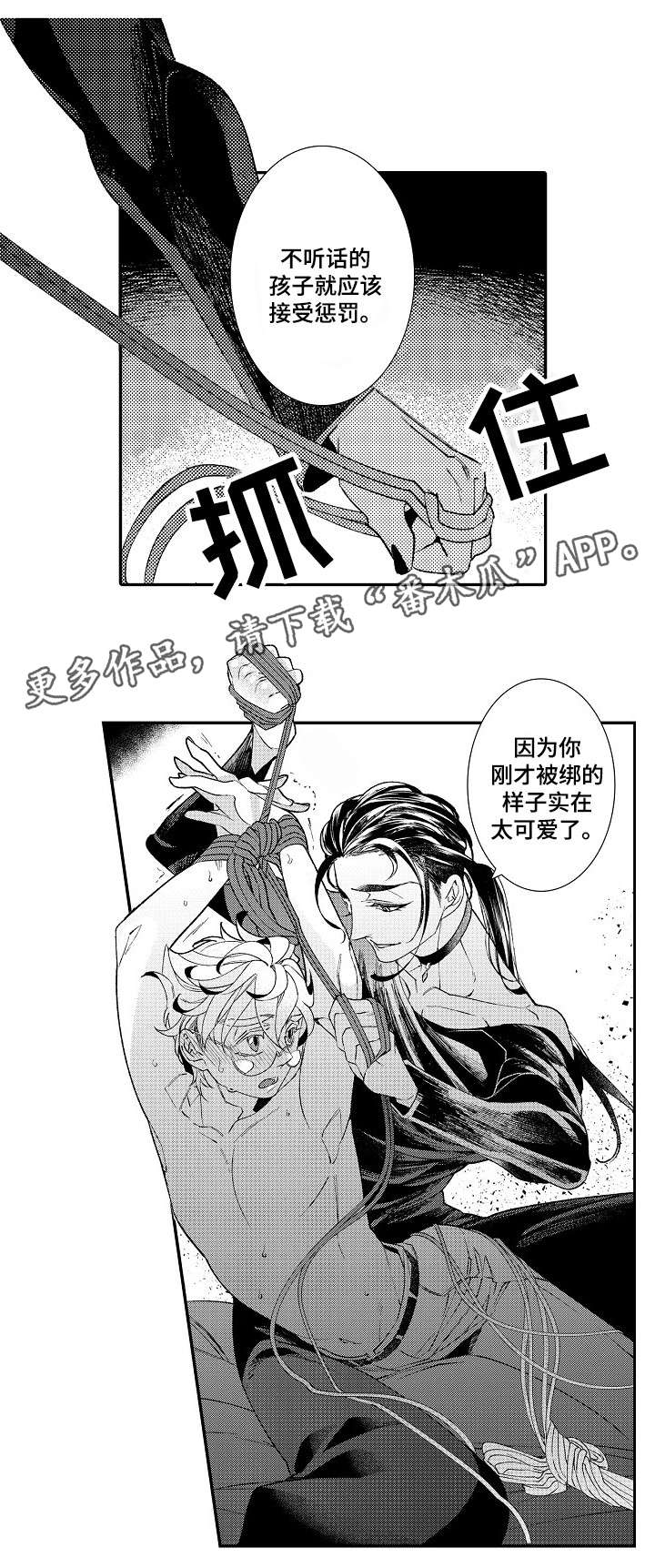 第5章：经验8