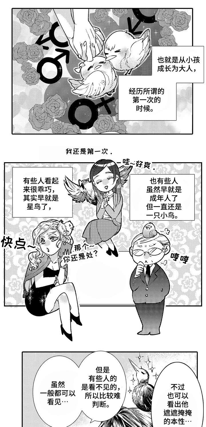 第2章：星鸟2