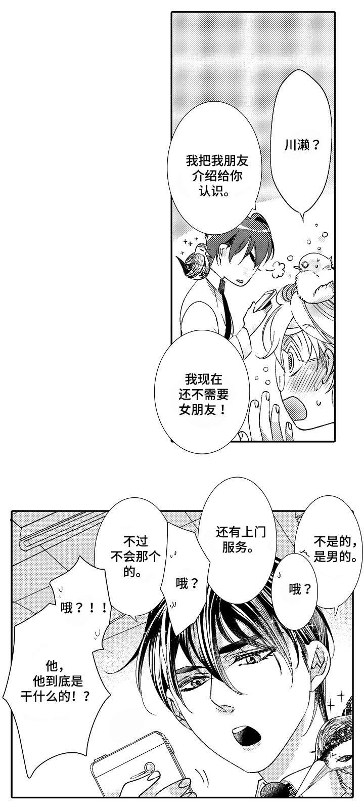 第2章：星鸟10