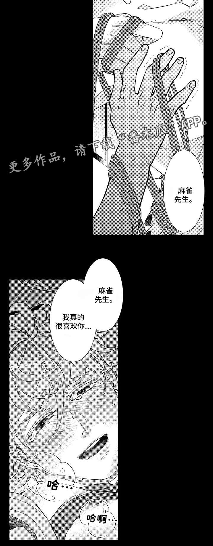 第14章：过往3