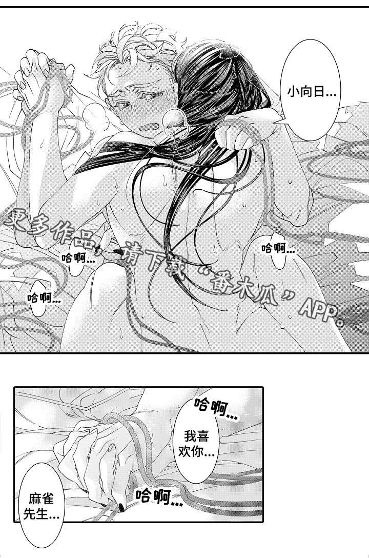 第24章：蜕变10