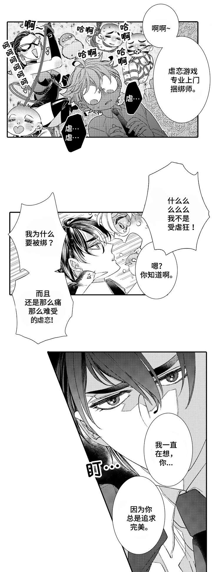 第2章：星鸟11