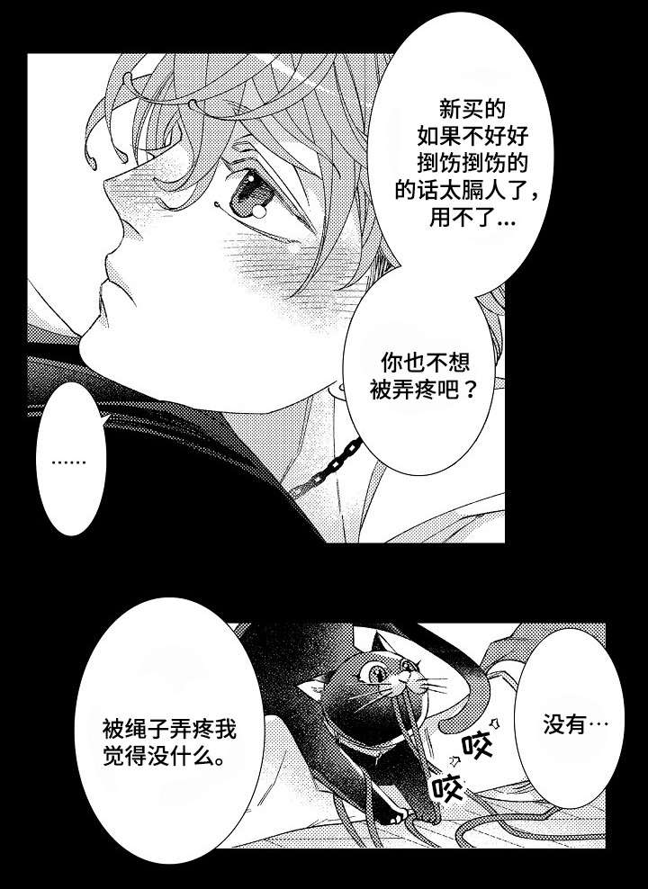 第13章：弄疼10