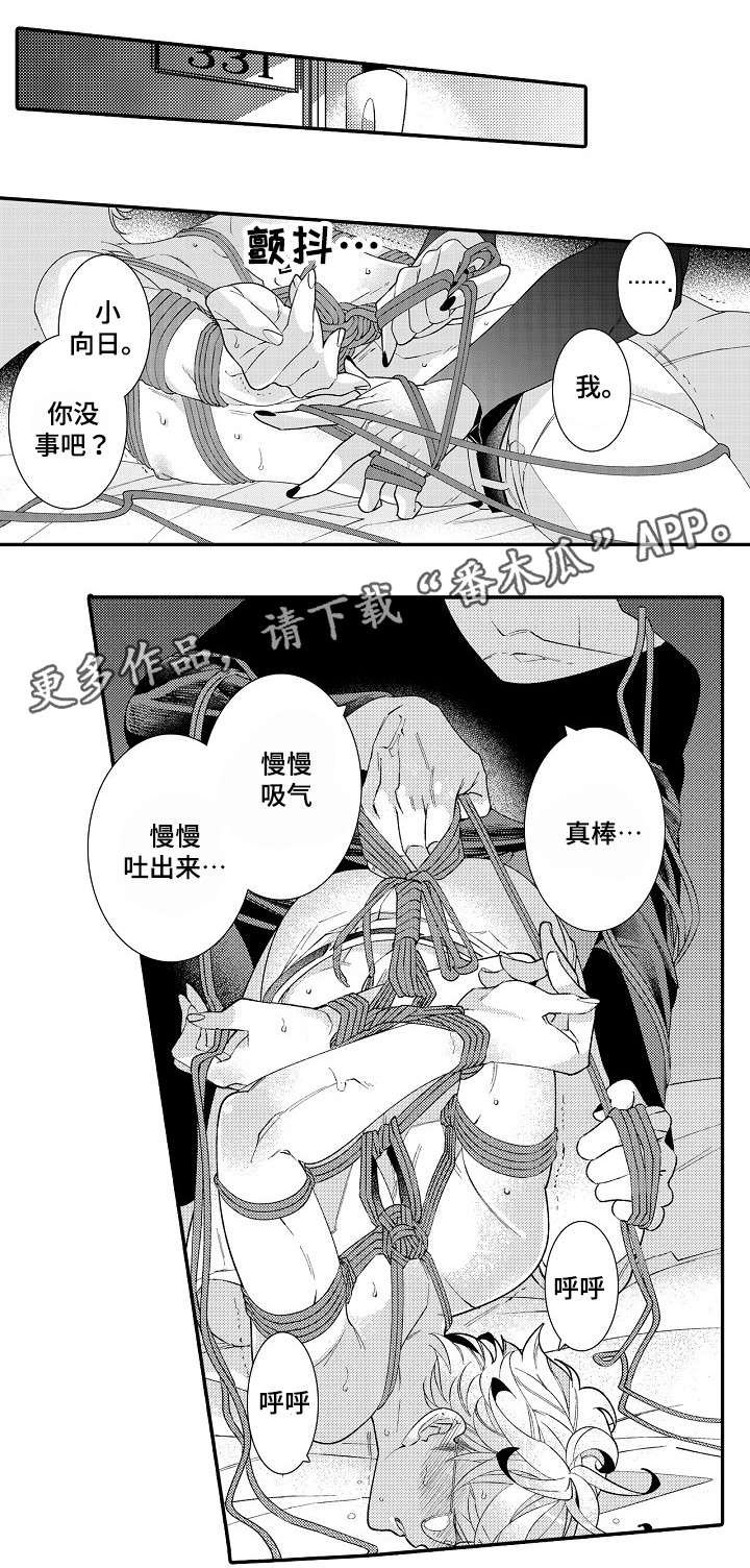 第5章：经验0