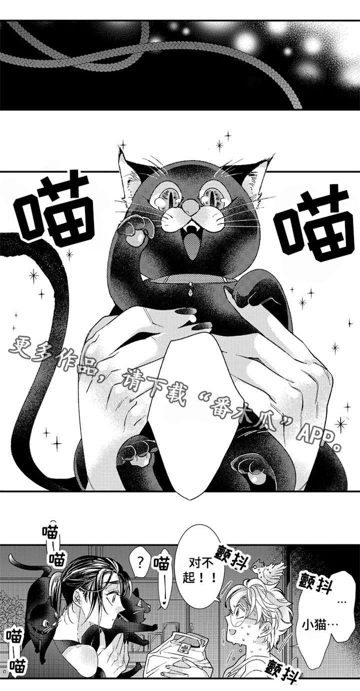 第13章：弄疼4