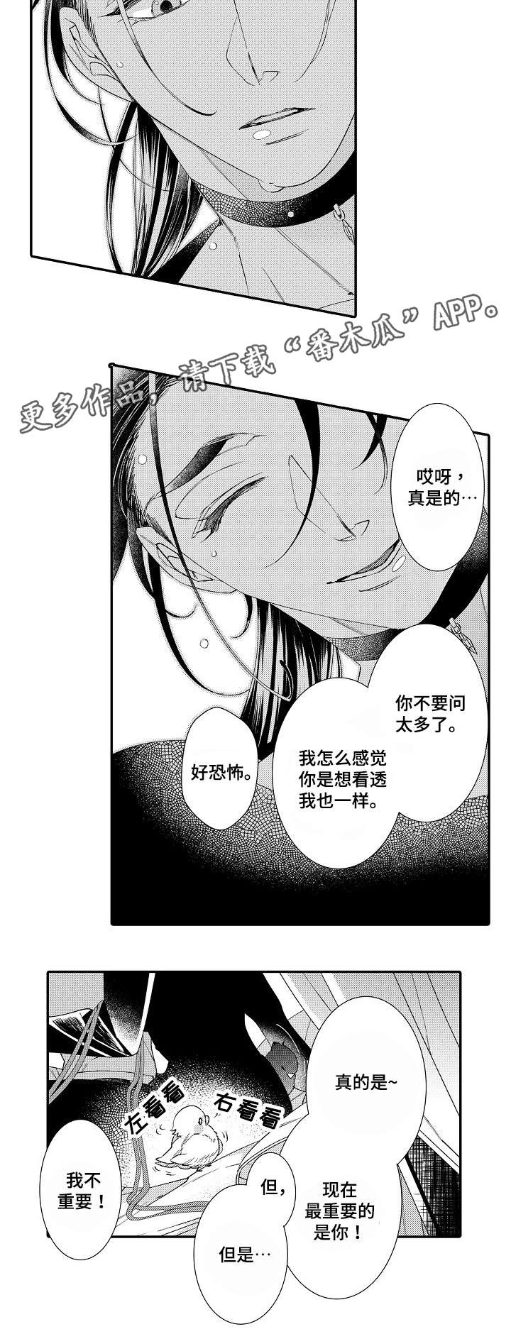 第5章：经验7