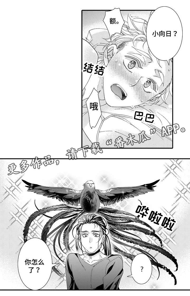 第24章：蜕变14