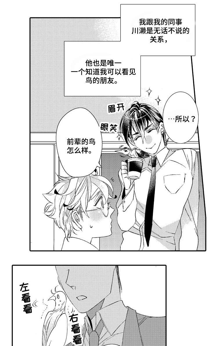 第2章：星鸟0