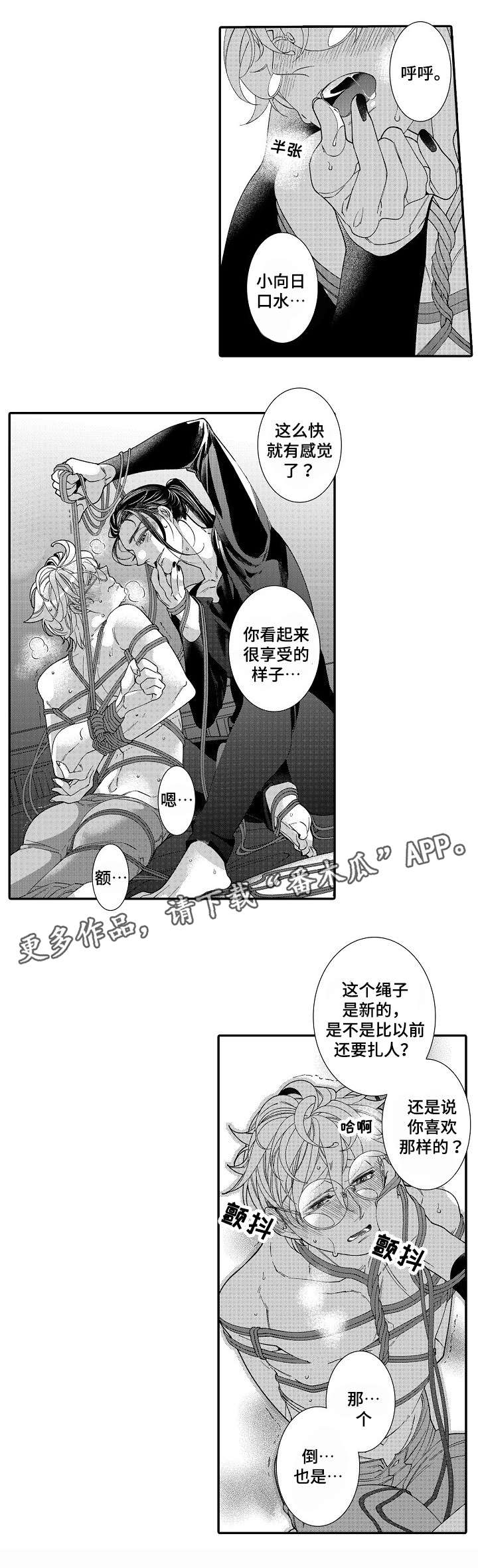 第17章：私心4