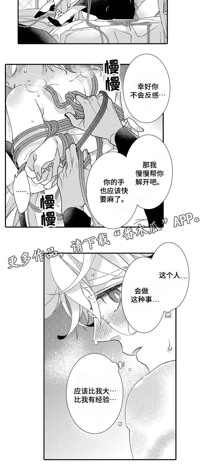 第5章：经验3