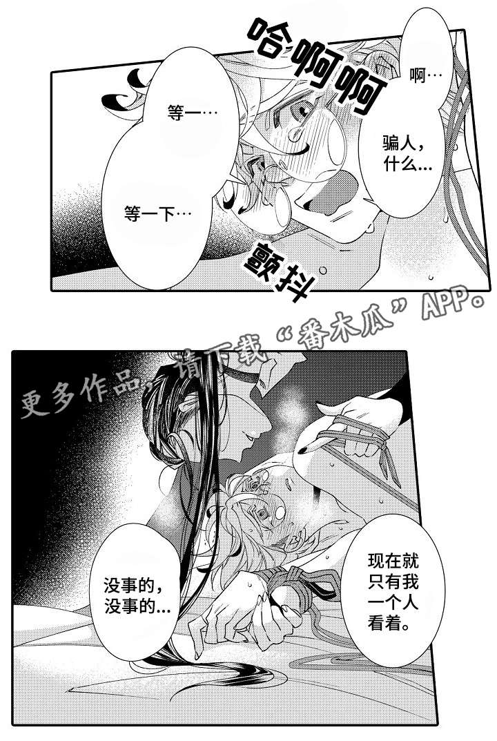 第5章：经验12