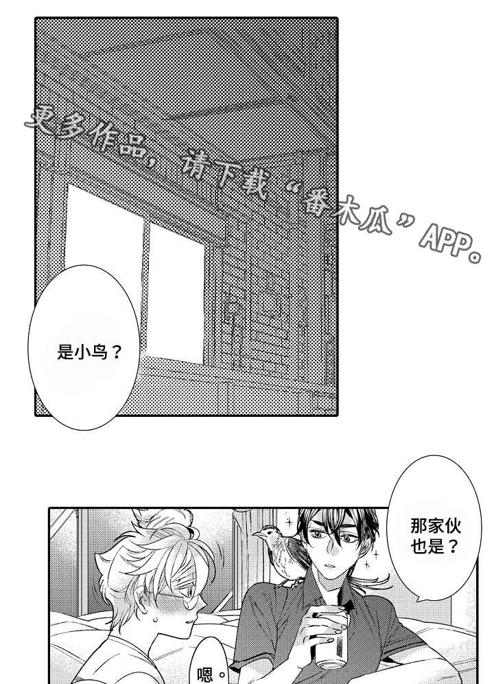 第8章：羡慕7