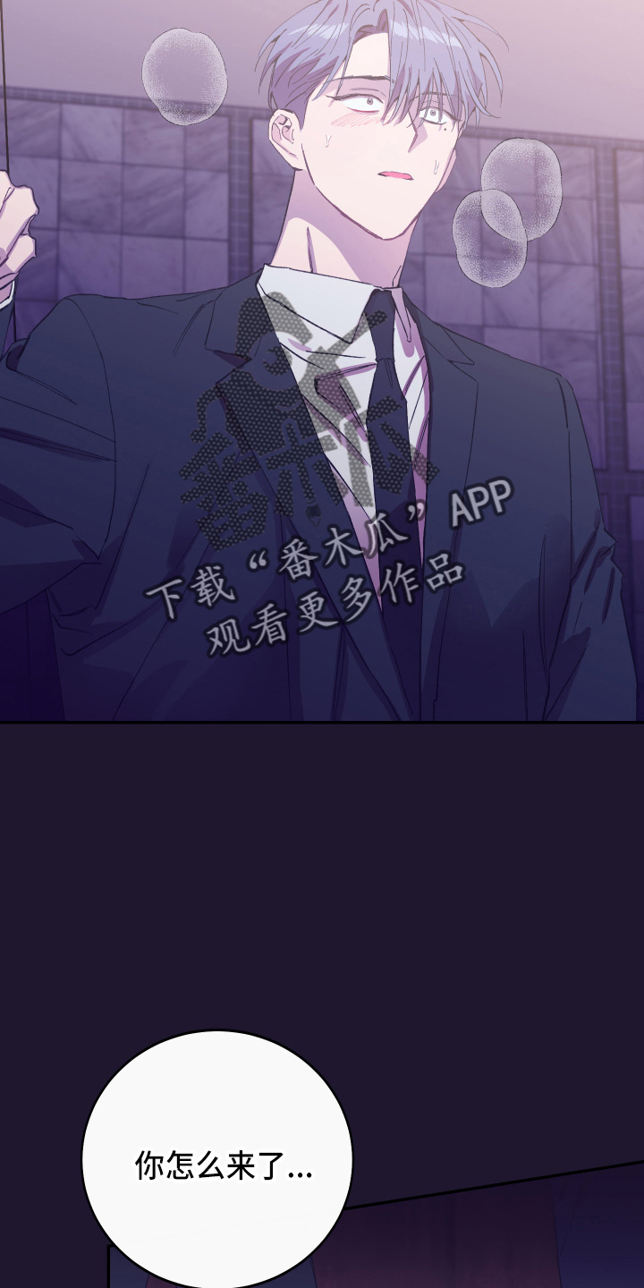 第32章：最爱的人19
