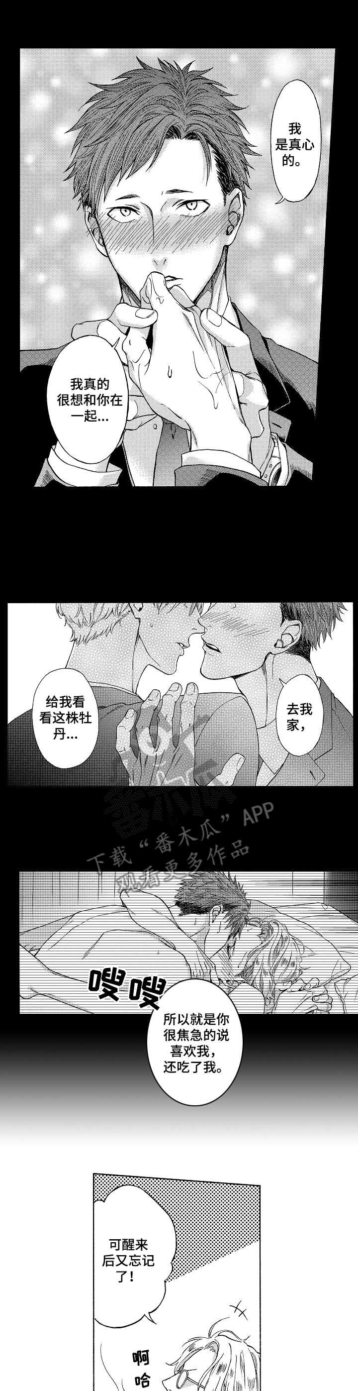 第6章：表达心意6