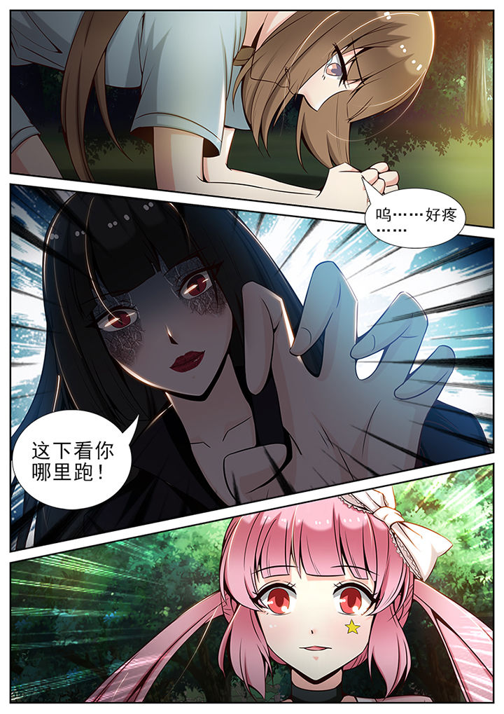 第55章：4
