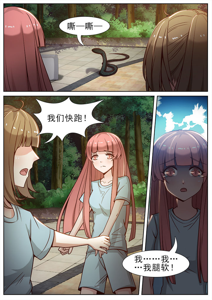 第54章：4