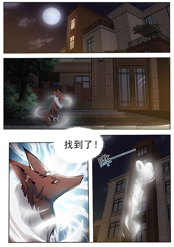 第29章：5