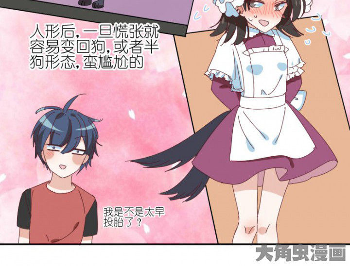第48章：小日常11