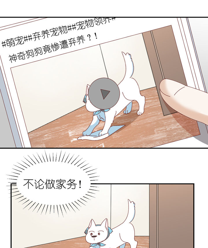 第65章：放弃0