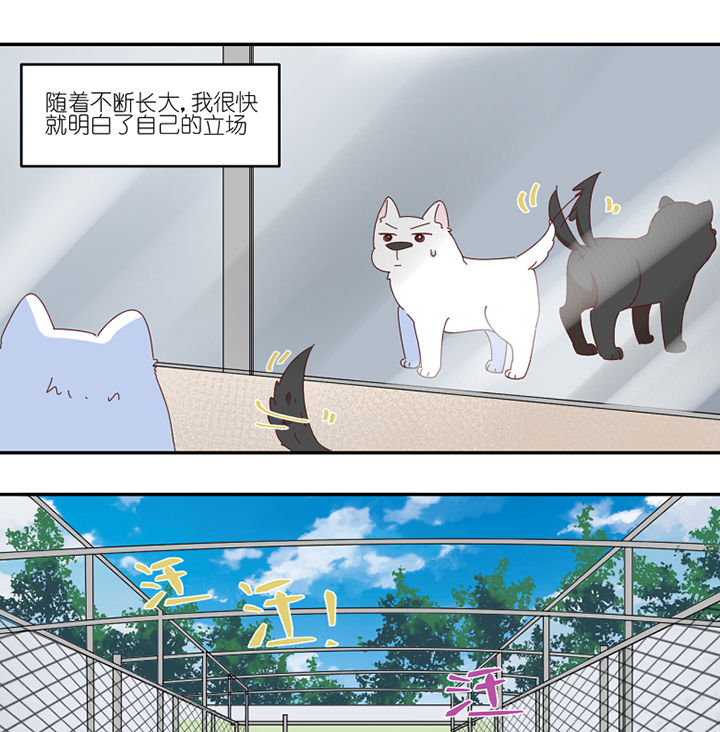 第59章：我讨厌狗12