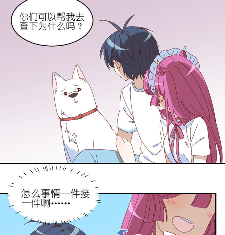 第63章：一波未平一波又起37