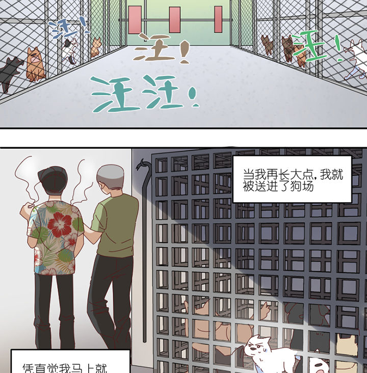第59章：我讨厌狗13