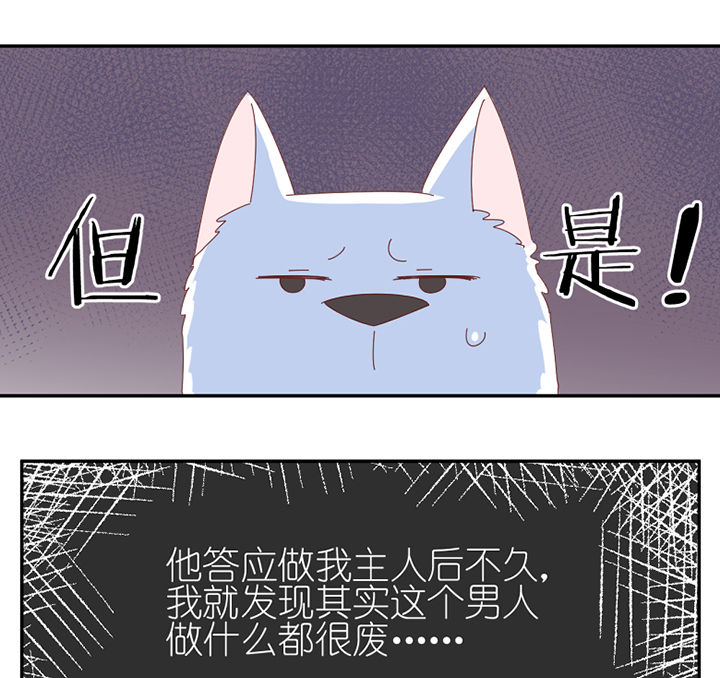 第60章：真面目12