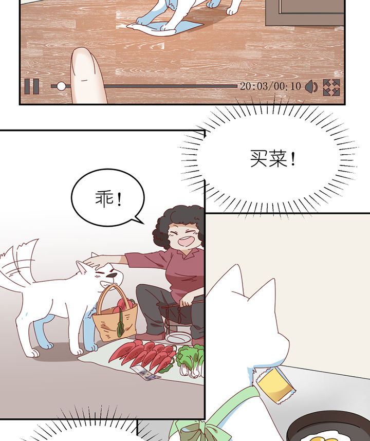 第65章：放弃1