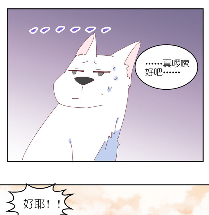 第58章： 主人？36