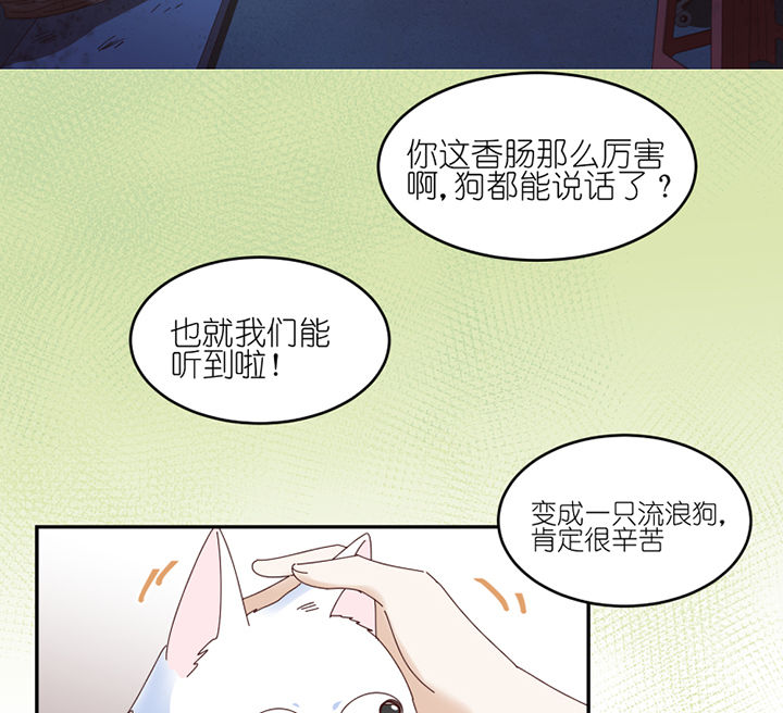 第57章：才不是流浪狗1