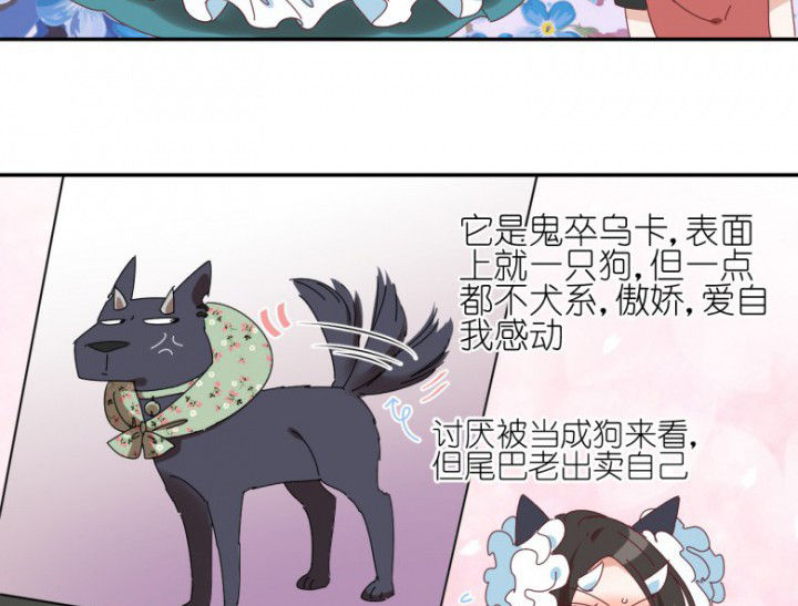 第48章：小日常10