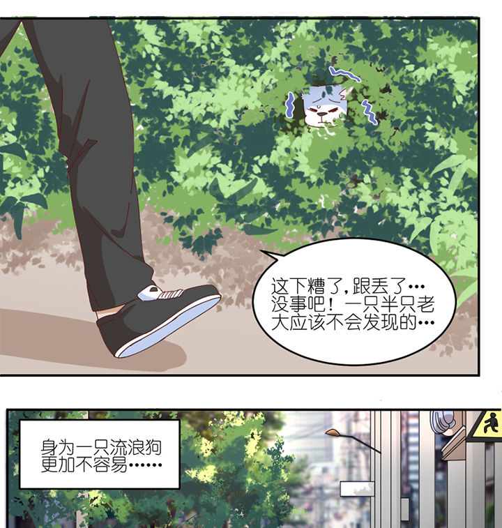第59章：我讨厌狗18
