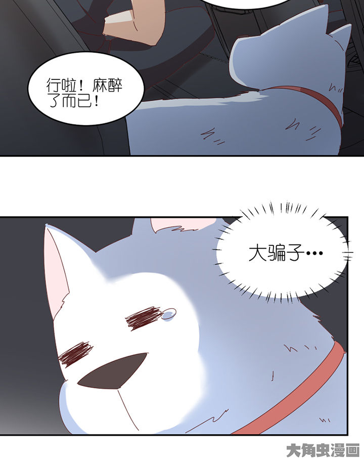 第66章：祸不单行18