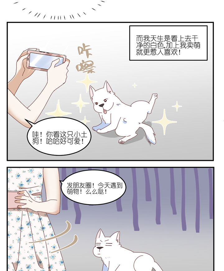 第59章：我讨厌狗21