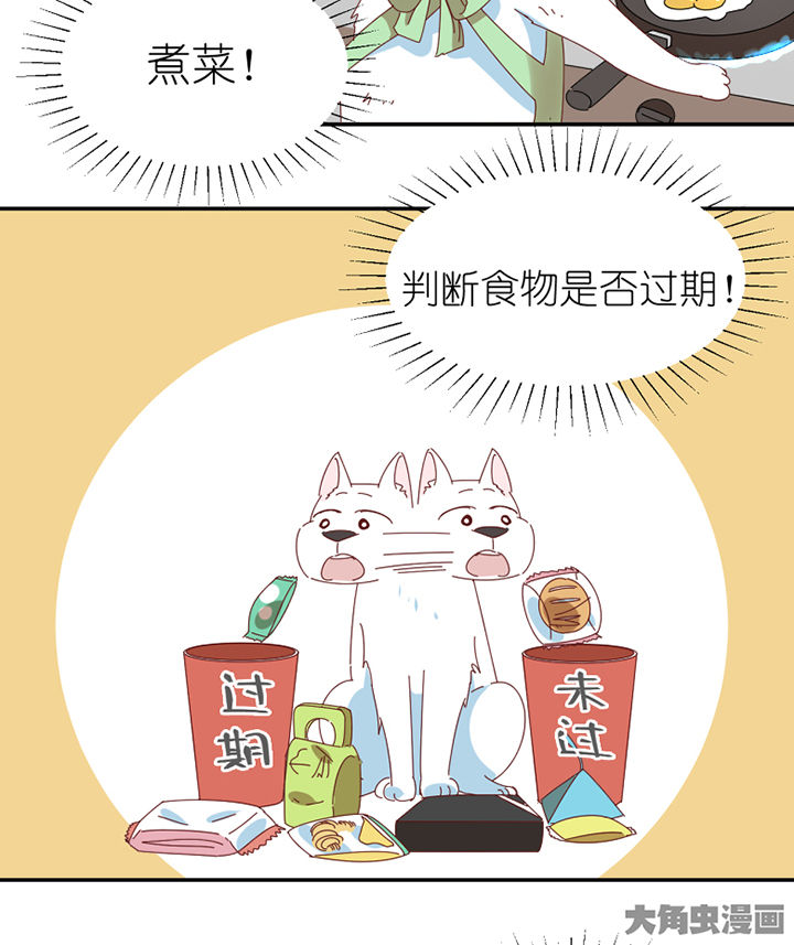第65章：放弃2