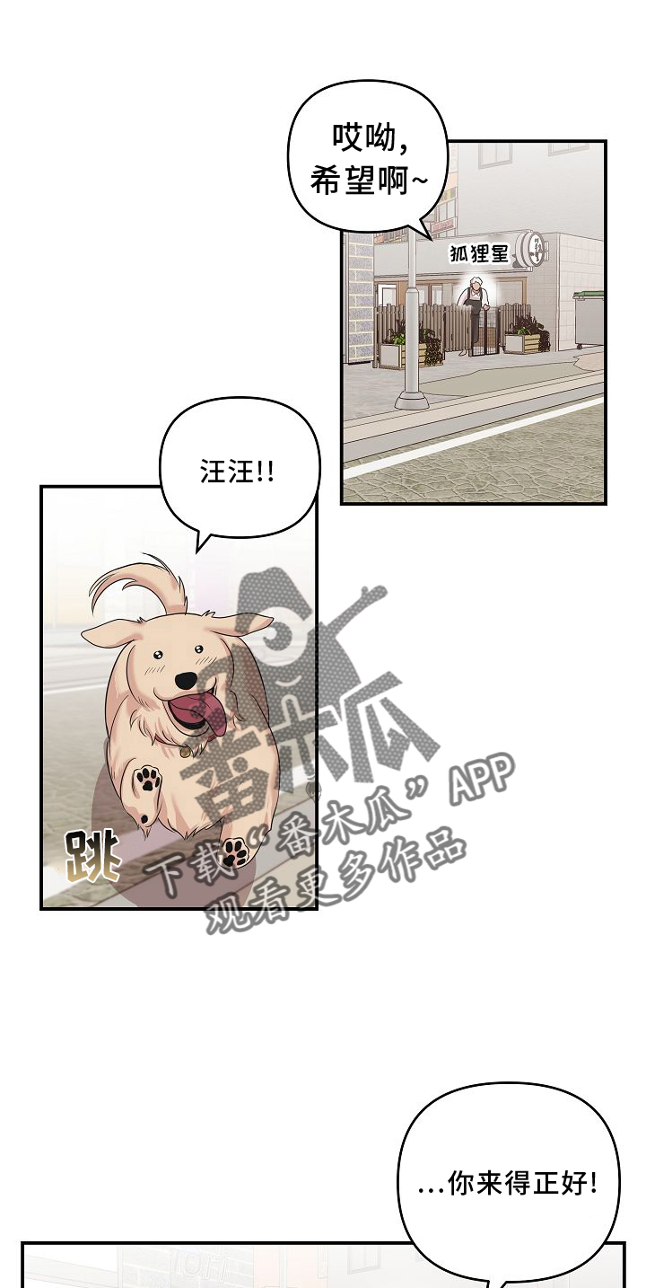 第16章：相似2