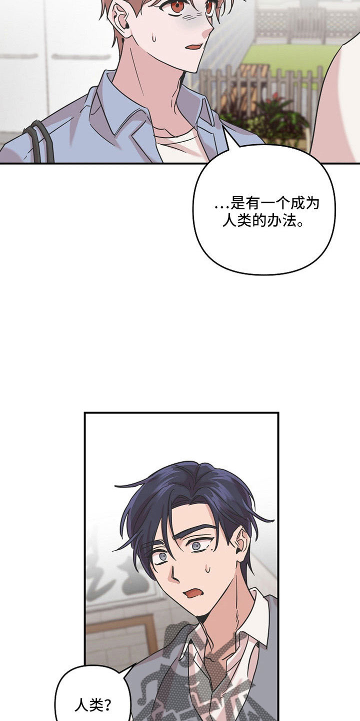 第36章：不想失去两次5