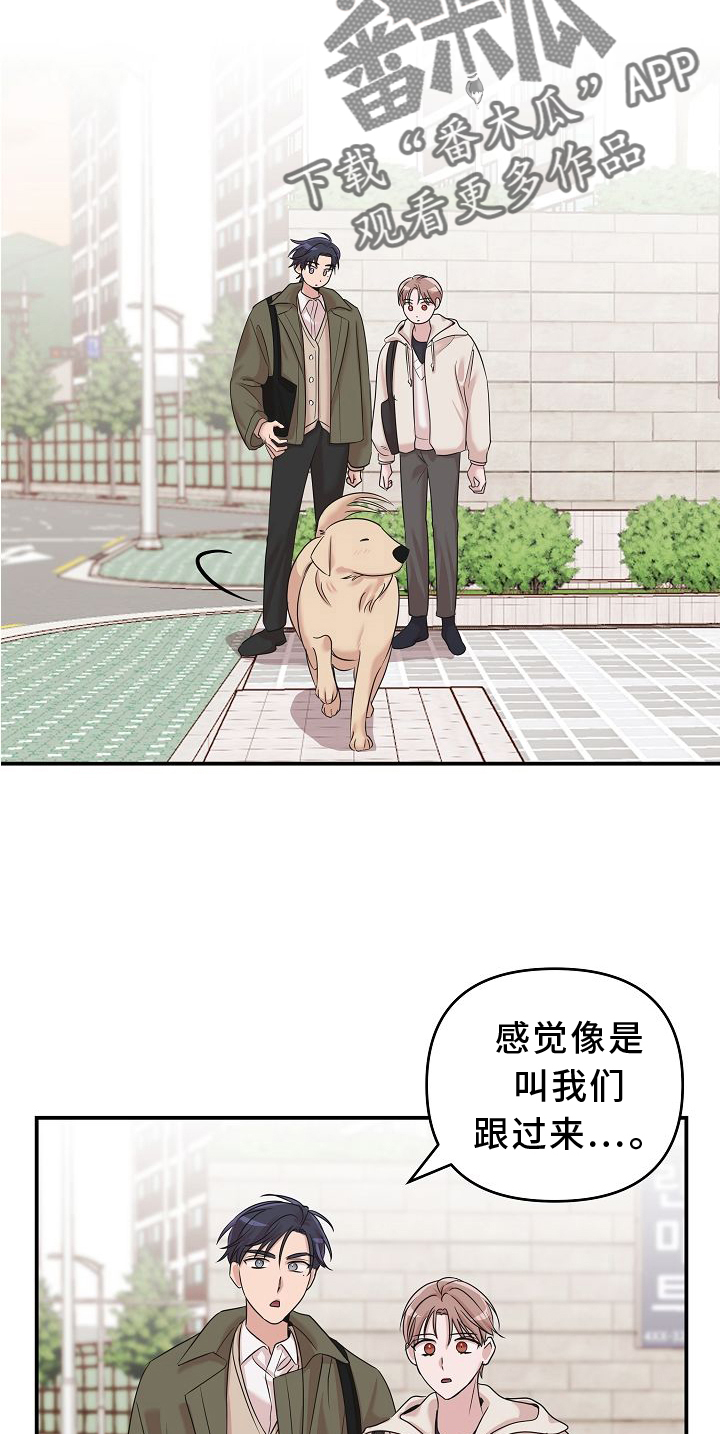 第15章：找寻14