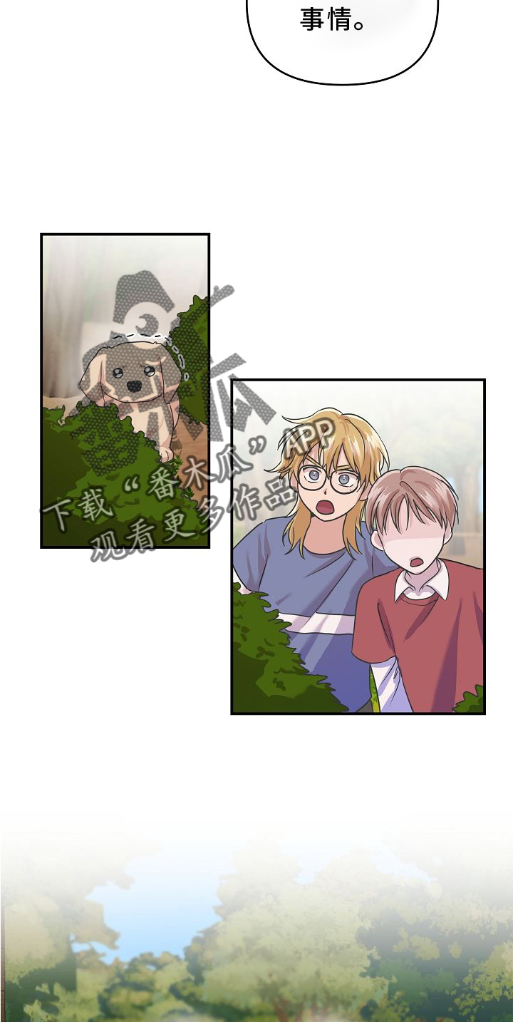 第16章：相似12