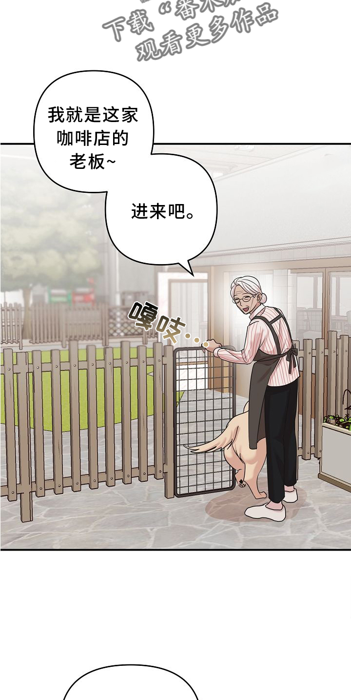 第16章：相似5