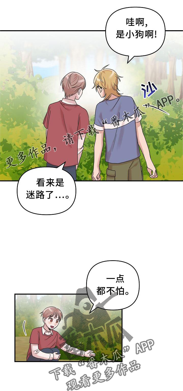 第17章：喜欢14