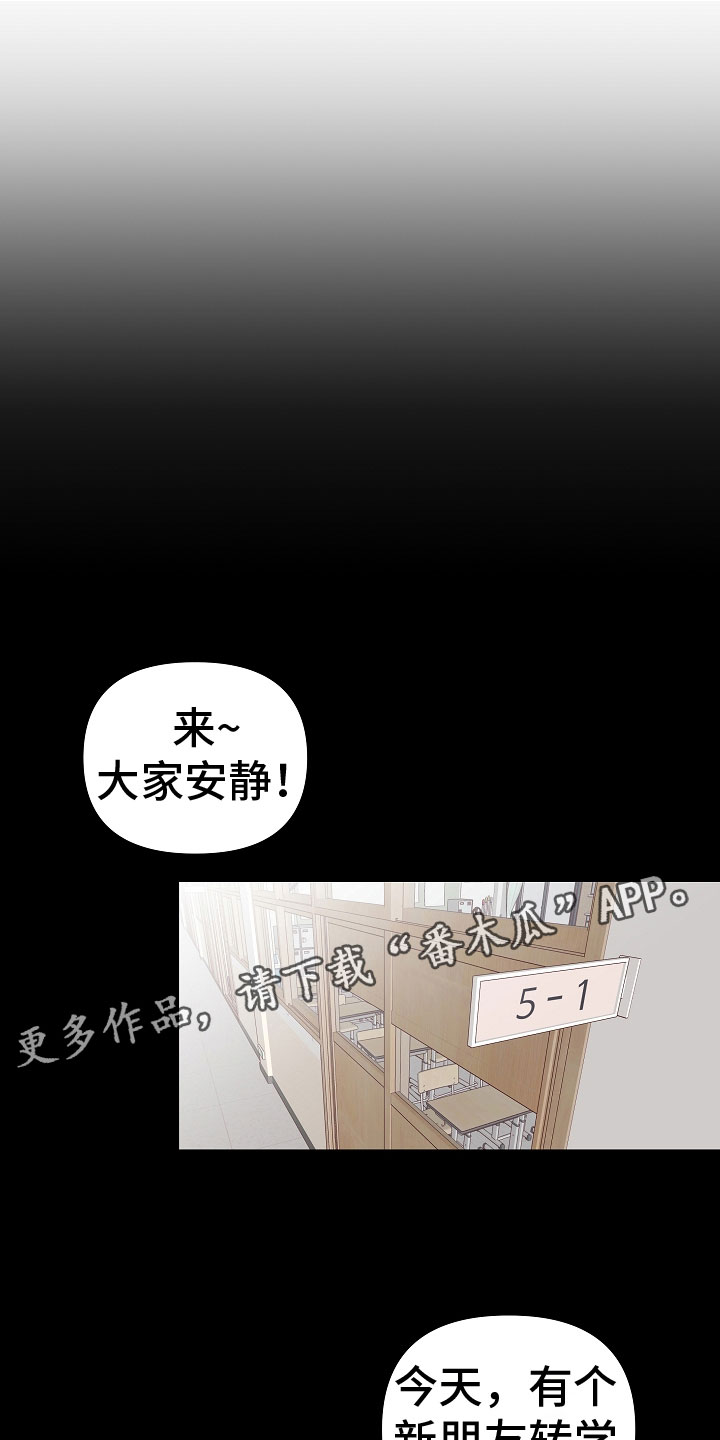 第11章： 好帅0
