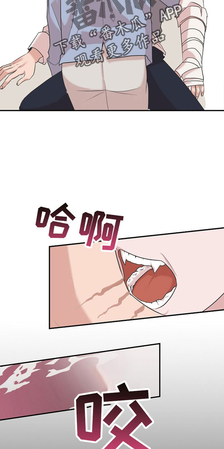 第37章：最后一天吸血鬼15