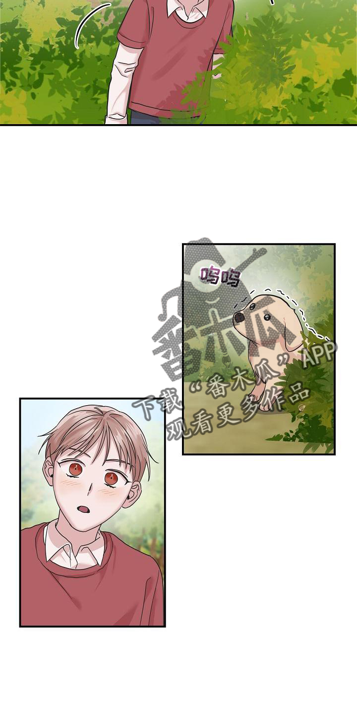 第17章：喜欢13
