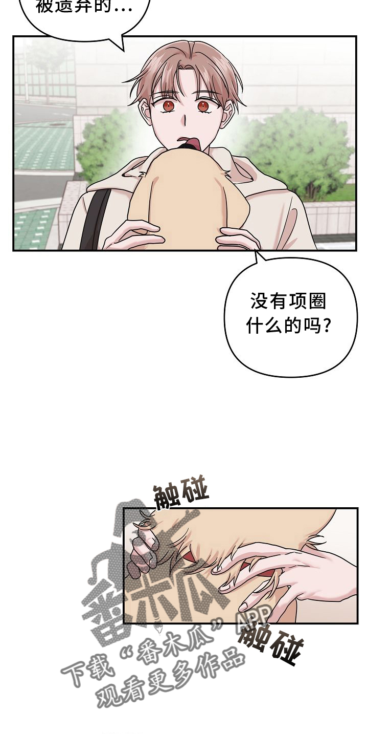 第15章：找寻11