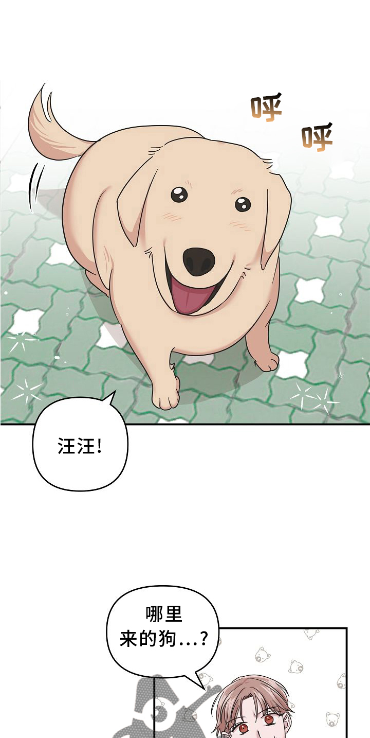 第15章：找寻0