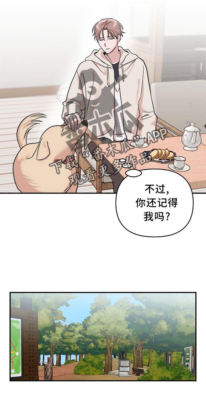 第17章：喜欢11
