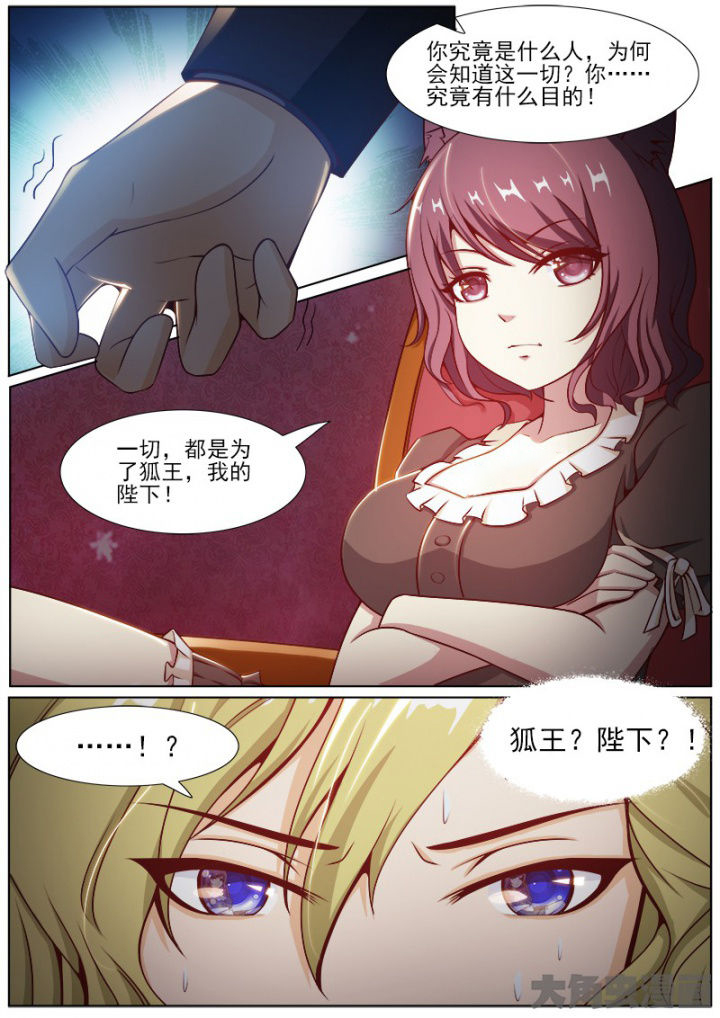 第196章：5
