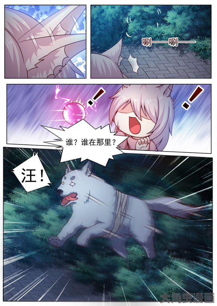 第135章：5