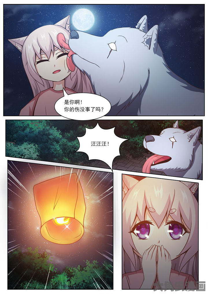 第135章：6